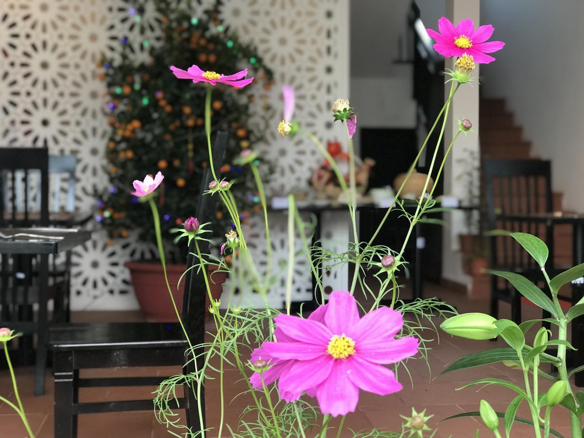 Vinci Villa Hoi An Eksteriør bilde